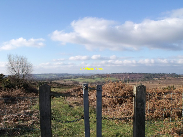 Photo 6"x4" View near Camp Hill, Ashdown Forest Duddleswell c2011