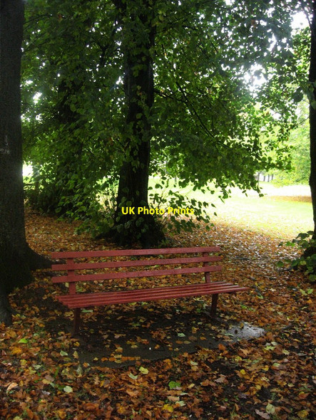 Photo 6"x4" Park Bench in Autumn Pontypool\/Pont-y-pwl c2009