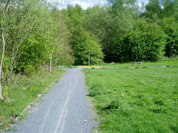 Photo 6"x4" Severn Valley Country Park Highley\/SO7483 c2009