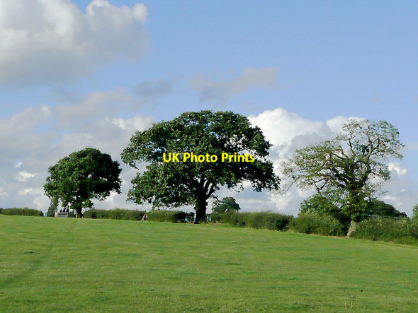 Photo 6"x4" Pasture near Stoke Pound, Worcestershire Stoke Pound c2010