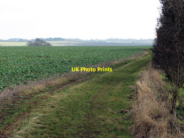 Photo 6"x4" Over the fields from Harcamlow Way Balsam c2011
