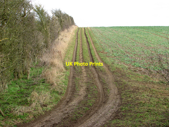 Photo 6"x4" Farm track in January Balsam c2011