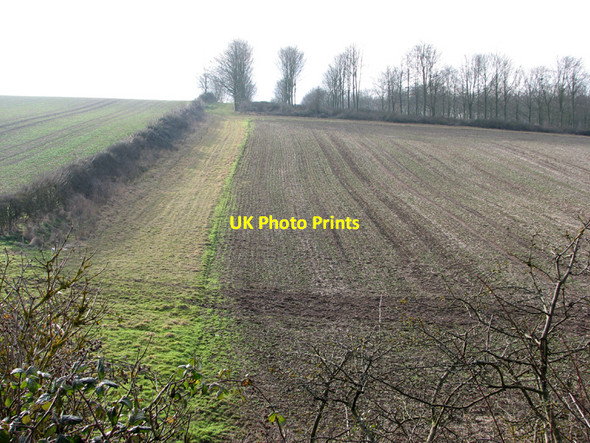 Photo 6"x4" Plantation and ploughland in January Balsam c2011