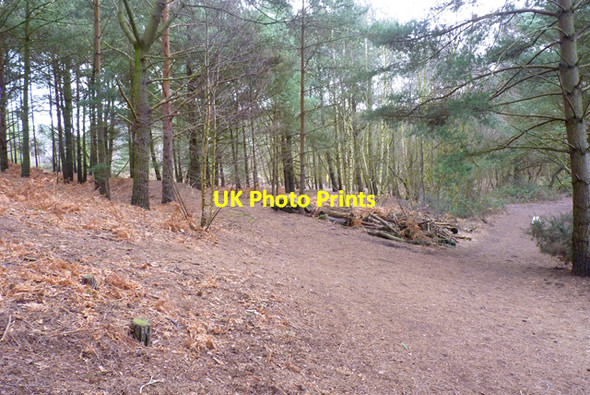 Photo 6"x4" St Catherine's Hill St Catherine's Hill\/SZ1495 c2011