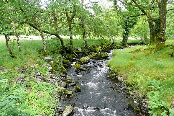 Photo 6"x4" Flowing into Afon Llugwy Capel Curig c2009
