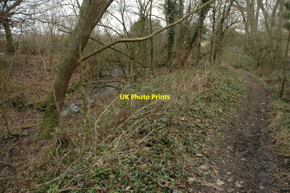 Photo 6"x4" Moat at Leckhampton Leckhampton c2011