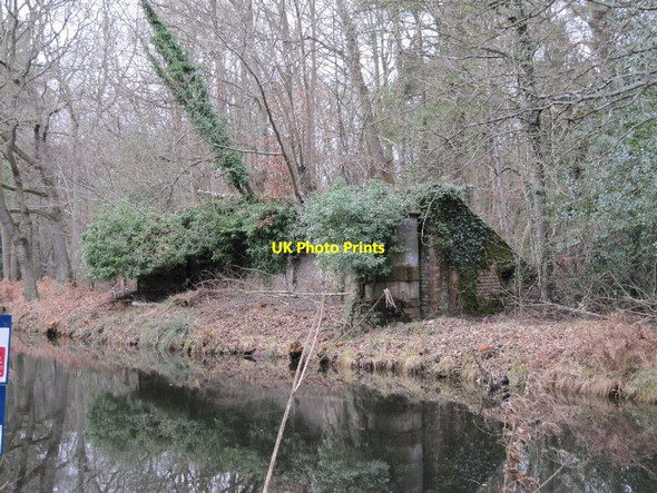 Photo 6"x4" Pier on the bank Pirbright c2011