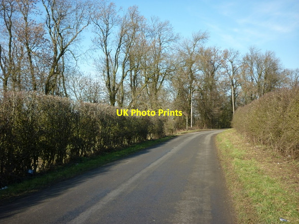 Photo 6"x4" Walking towards Burton Woods near Flixborough Flixborough c2011