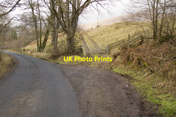 Photo 6"x4" Start of footpath along River Nith Enterkinfoot c2011