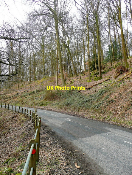 Photo 6"x4" Blakeney Road, Soudley Lower Soudley c2010