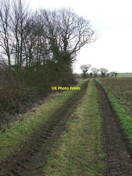 Photo 6"x4" Footpath To Hargrave Denham\/TL7561 c2011