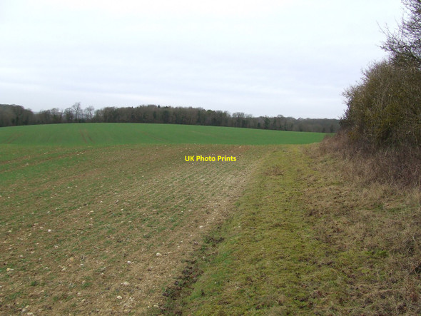 Photo 6"x4" Field And Footpath Dunstall Green c2011