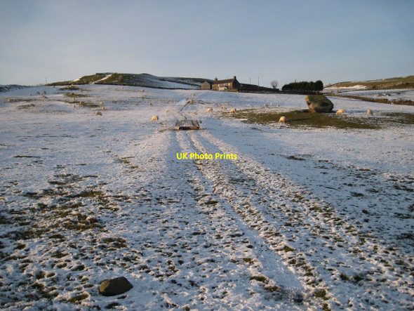 Photo 6"x4" The track to Cwm Mawr farm Penmorfa\/SH5440 c2010