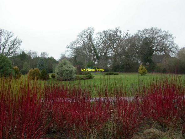 Photo 6"x4" Woodside, gardens Lymington c2011