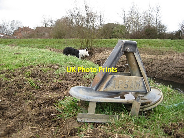 Photo 6"x4" Self Service For Cows Isle Brewers c2011