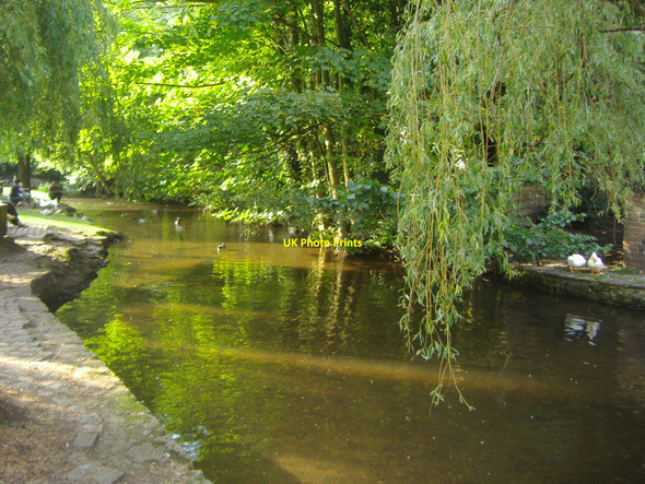 Photo 6"x4" Tilling Bourne, Shere Shere c2008 P1