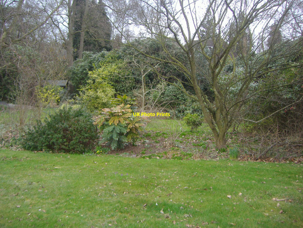 Photo 6"x4" Garden backing on to A322 Bagshot Bagshot\/SU9163 c2009