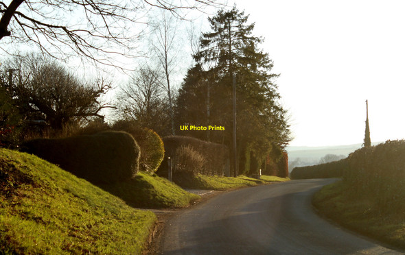 Photo 6"x4" 2011 : Chitterne Road near Auckland Farm Codford St Peter c2011