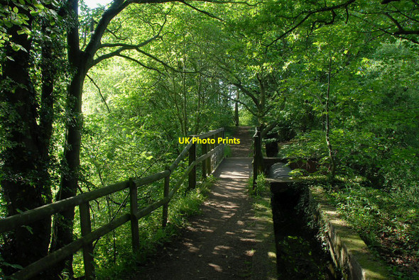Photo 6"x4" Footpath and Pipeline Rixton c2009
