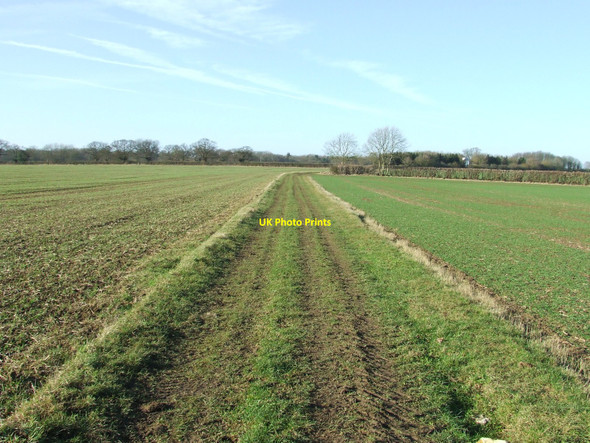 Photo 6"x4" To Desning Hall Dalham c2011