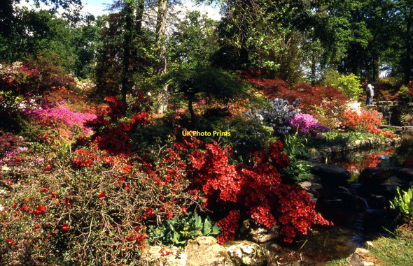 Photo 6"x4" Colourful Exbury Gardens Exbury c1990