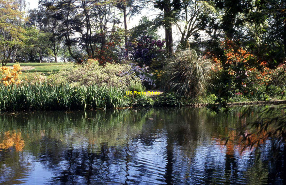 Photo 6"x4" Exbury Gardens Exbury c1990