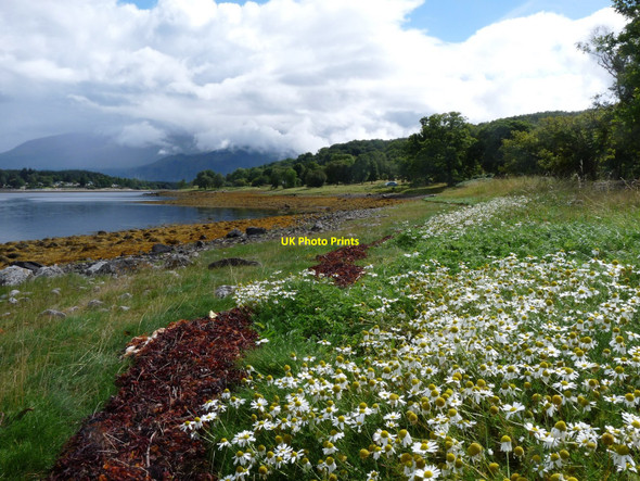 Photo 6"x4" Loch Eil Achaphubuil c2010