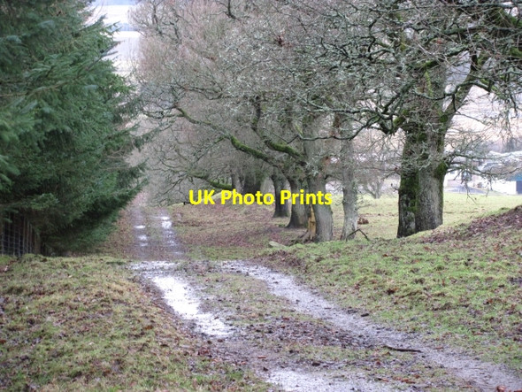 Photo 6"x4" Farm track, Romanno Bridge Damside\/NT1648 c2011