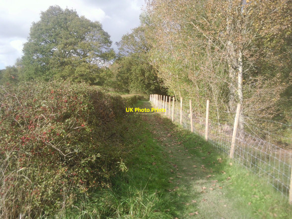 Photo 6"x4" Footpath around Bough Beech Reservoir Winkhurst Green c2010