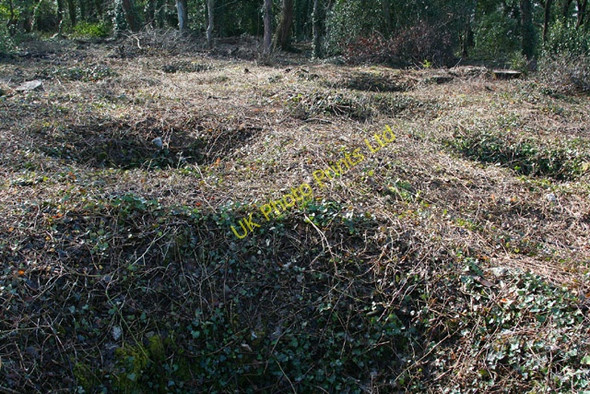 Photo 6"x4" Weston-super-Mare: Worlebury hillfort Weston-super-Mare c2006