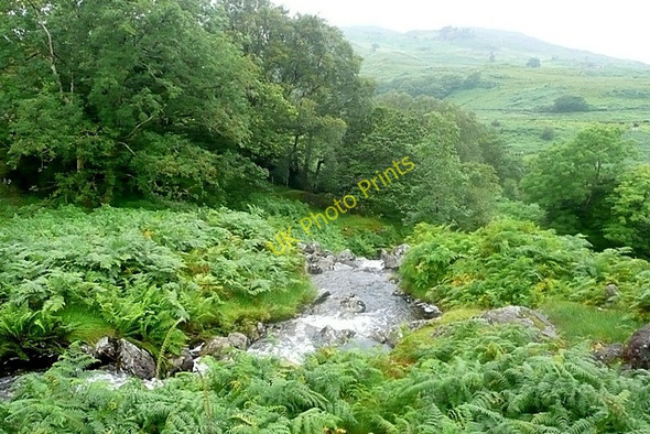 Photo 6"x4" Towards Cwm Nanmor Bethania\/SH6250 c2009