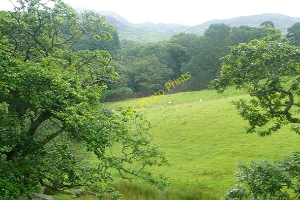 Photo 6"x4" View in Cwm Llynedno Bethania\/SH6250 c2009