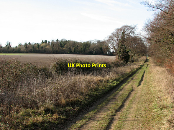 Photo 6"x4" Copley Hill and the Roman Road in February Babraham c2011