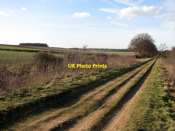 Photo 6"x4" The Roman Road and Meggs Hill Babraham c2011