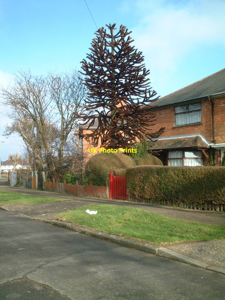 Photo 6"x4" Moorside Road Warstock c2011