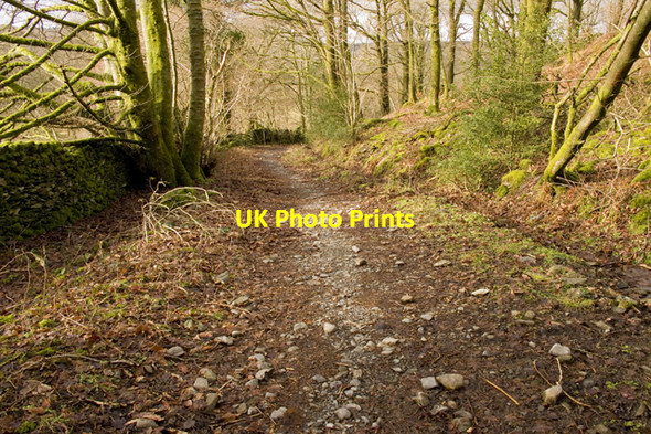 Photo 6"x4" Bridleway to Satterthwaite Force Mills c2011