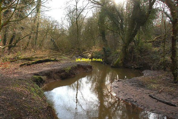 Photo 6"x4" Cogshall Brook Anderton\/SJ6475 c2011
