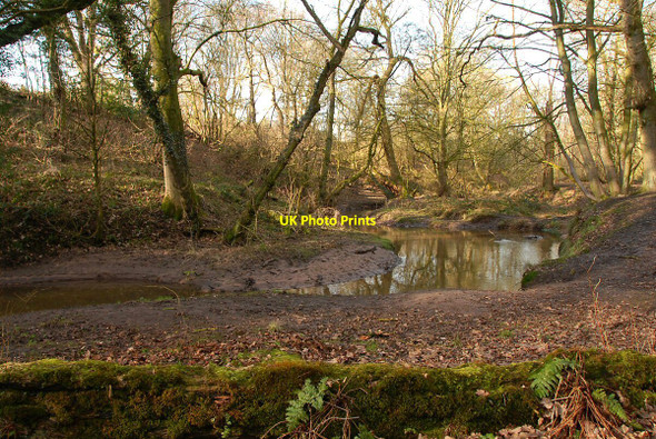 Photo 6"x4" Cogshall Brook Anderton\/SJ6475 c2011
