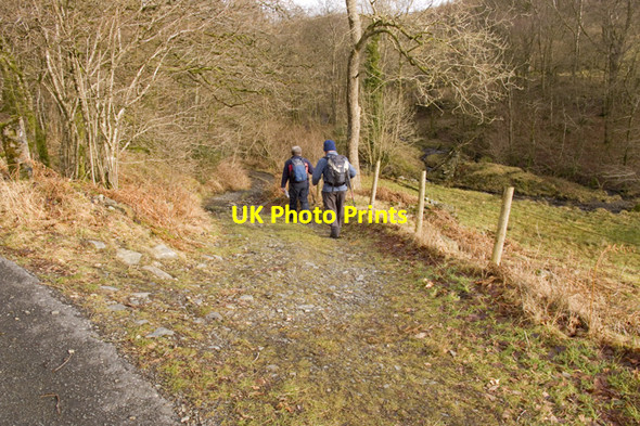 Photo 6"x4" Start of footpath to Sawrey Force Mills c2011