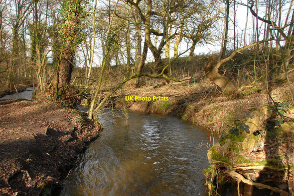 Photo 6"x4" Forge Brook Anderton\/SJ6475 c2011
