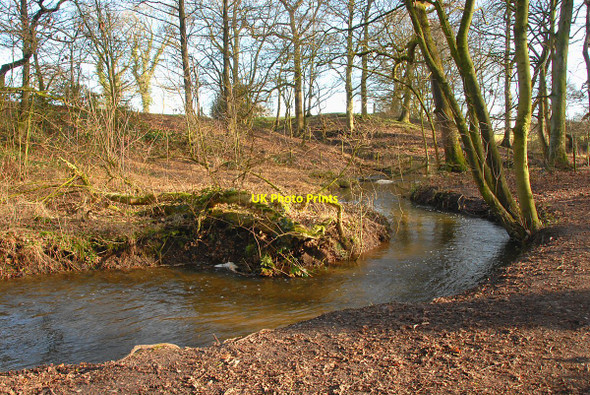 Photo 6"x4" Forge Brook Anderton\/SJ6475 c2011