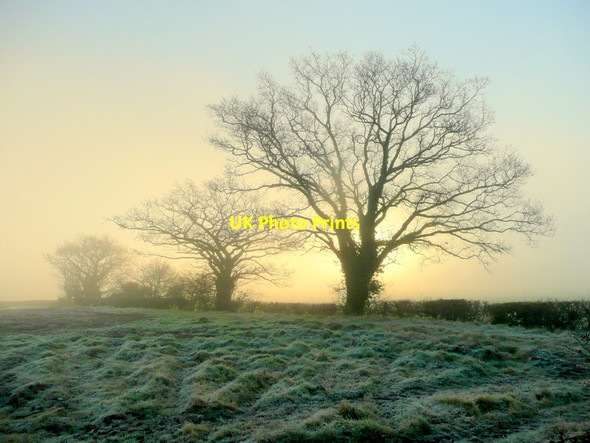 Photo 6"x4" Frosty February morning Hardwick Green c2011