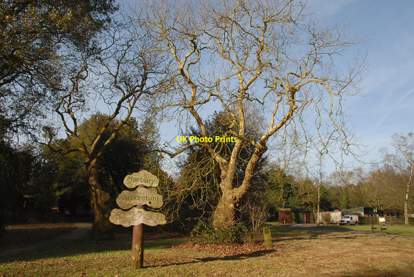Photo 6"x4" Arboretum Sign Anderton\/SJ6475 c2011