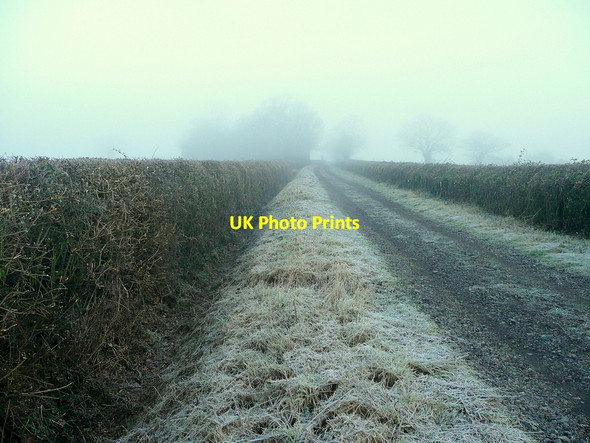 Photo 6"x4" Bridleway to Longdon Hardwick Green c2011