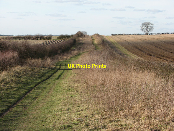 Photo 6"x4" The Roman Road in February Little Abington c2011