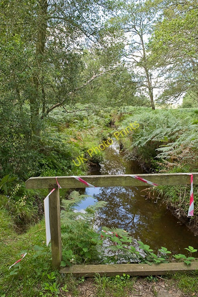 Photo 6"x4" Bridge over Warwickslade Cutting Bank\/SU2807 c2009