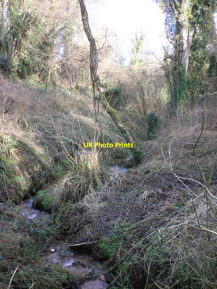 Photo 6"x4" Brook, near Leighland Chapel Stamborough c2011