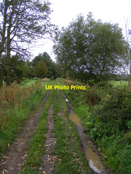Photo 6"x4" Footpath across the marshes Bungay c2010 P1