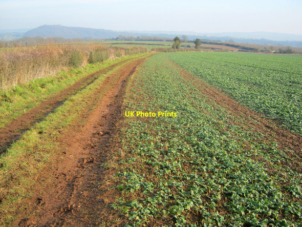 Photo 6"x4" Arable land at Kilforge Farm Ballingham Hill c2011