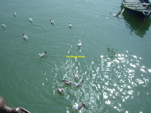 Photo 6"x4" Folkestone harbour Folkestone c2009
